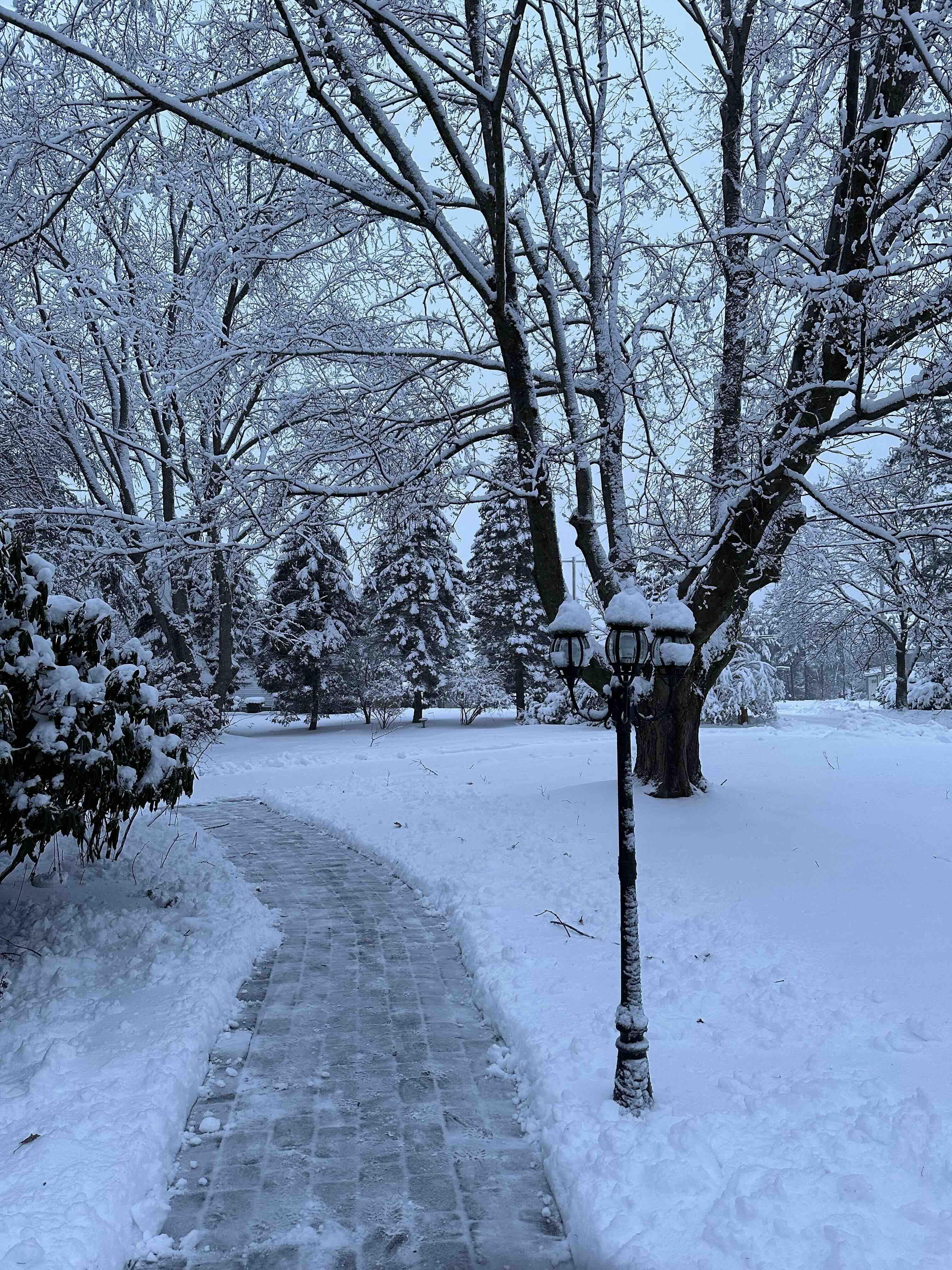 Snow Day