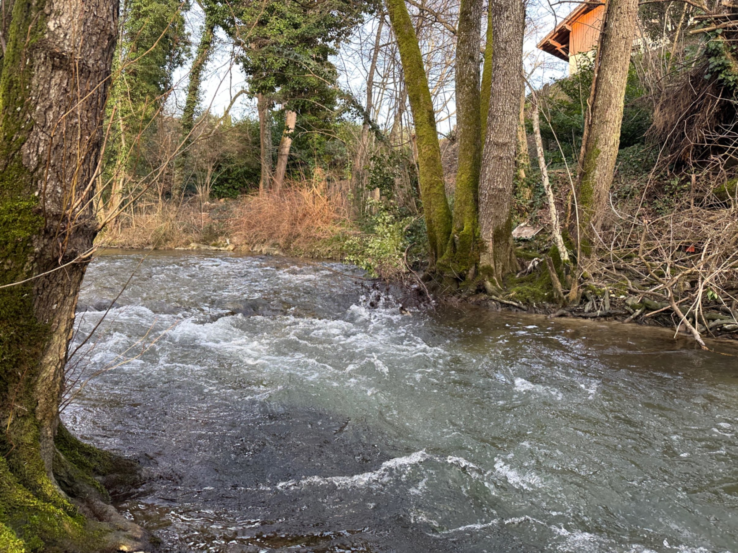 Le Lion River