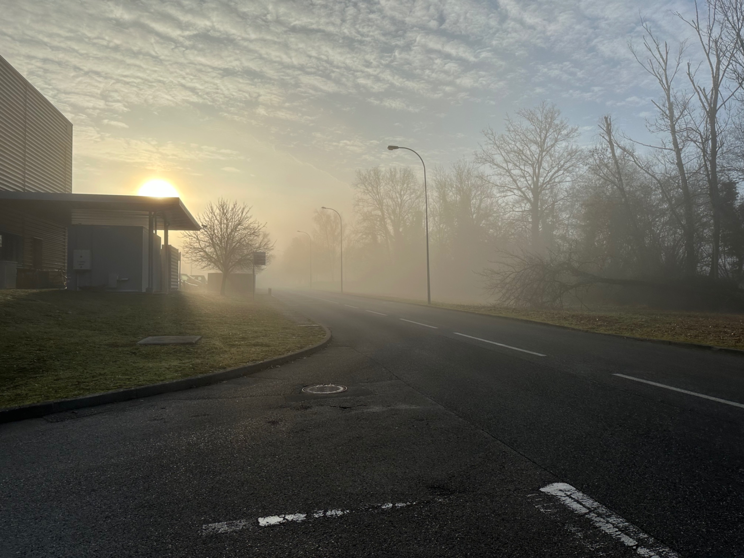 Morning Fog