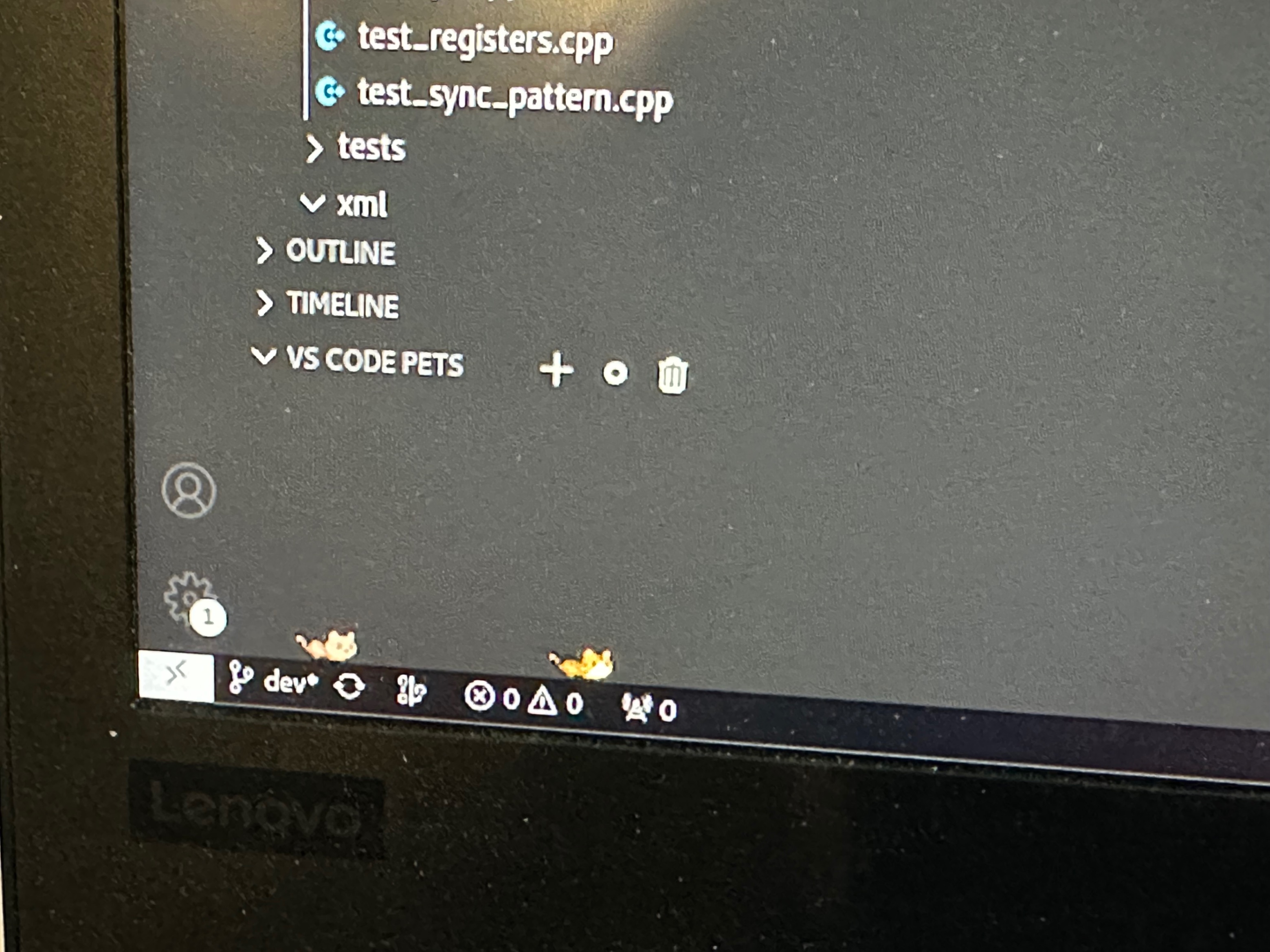 VS Code Pets
