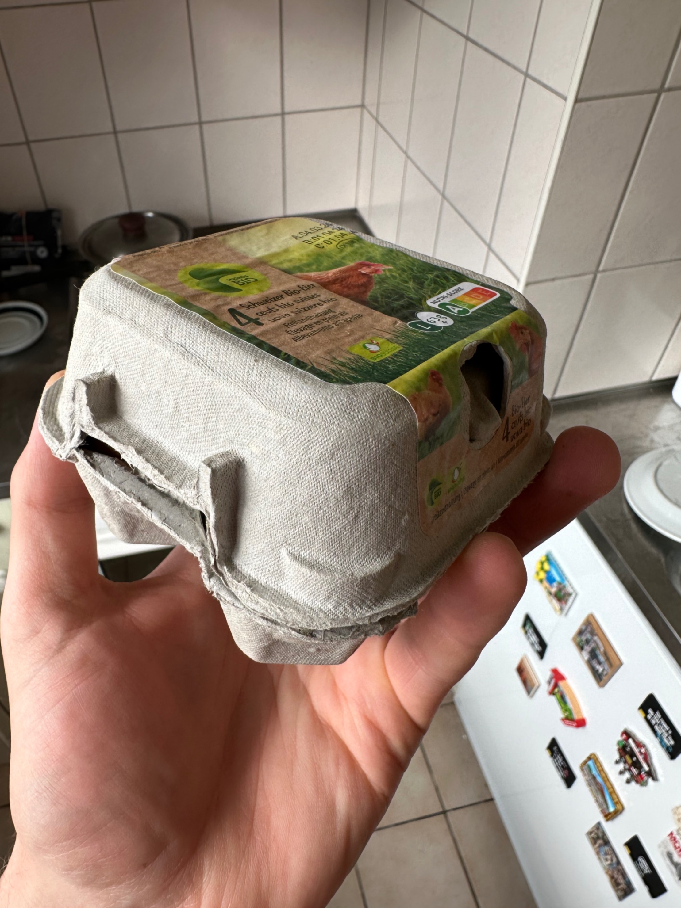 Egg Carton