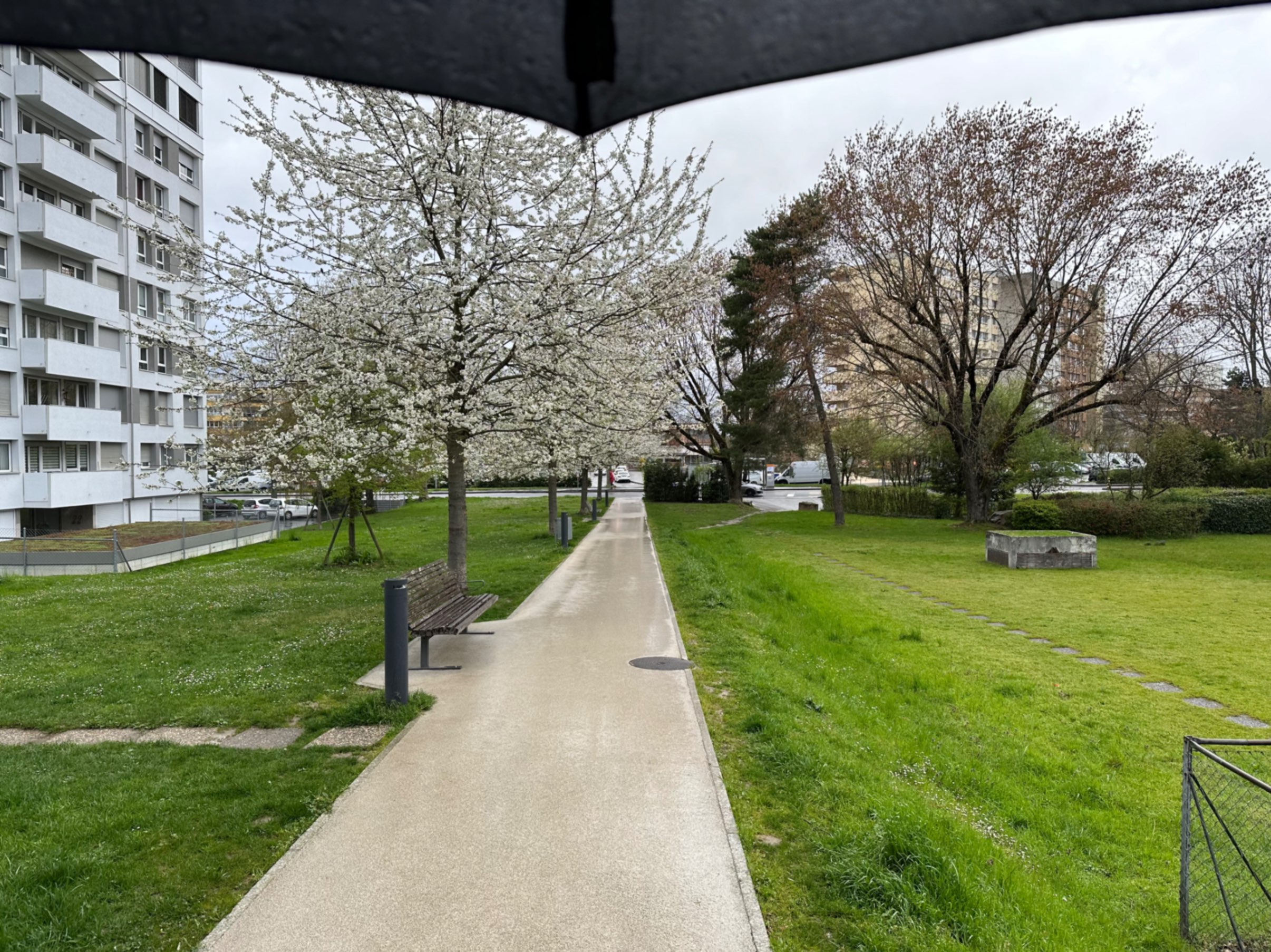 Umbrella Weather