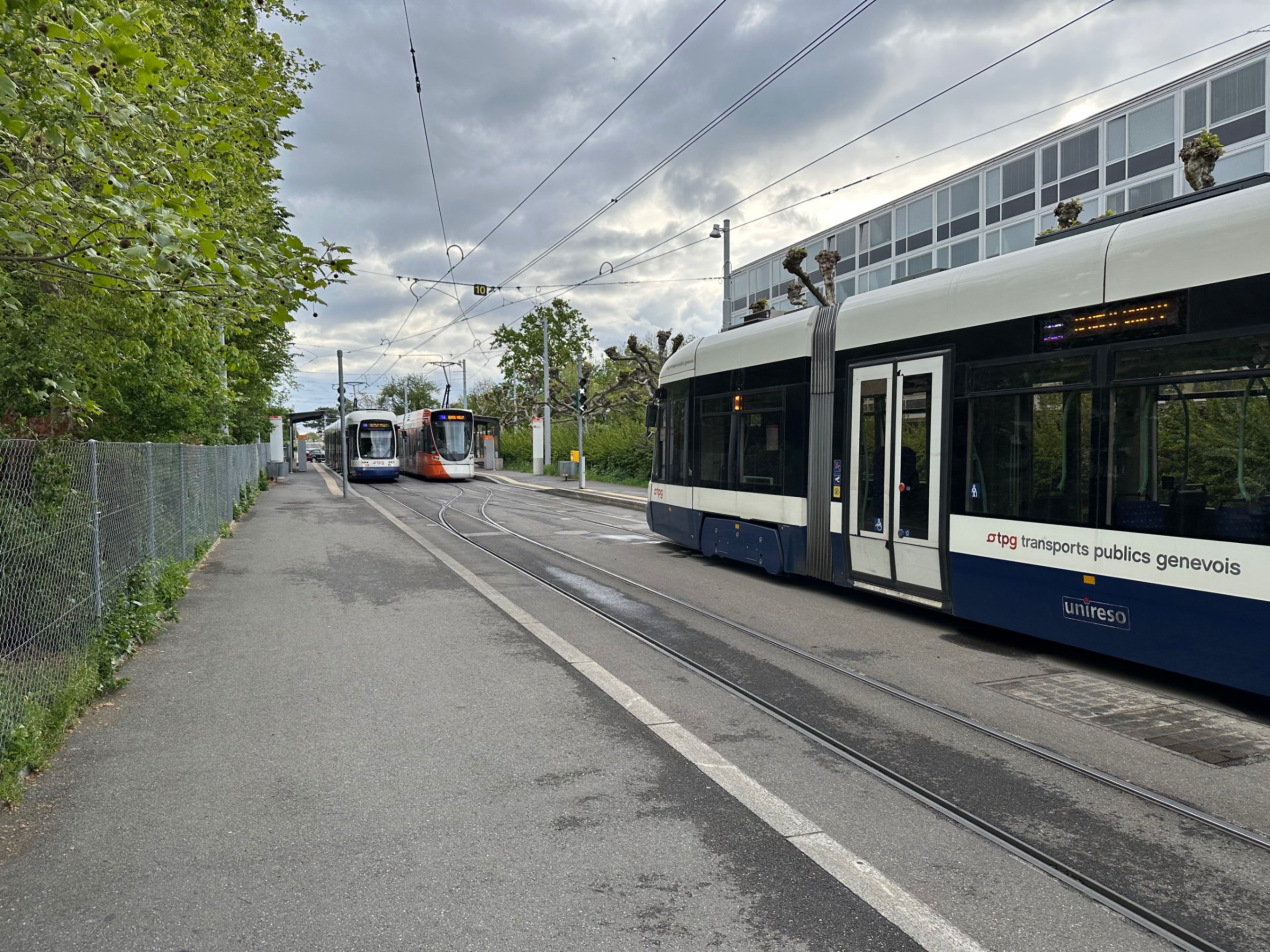 Tram Traffic