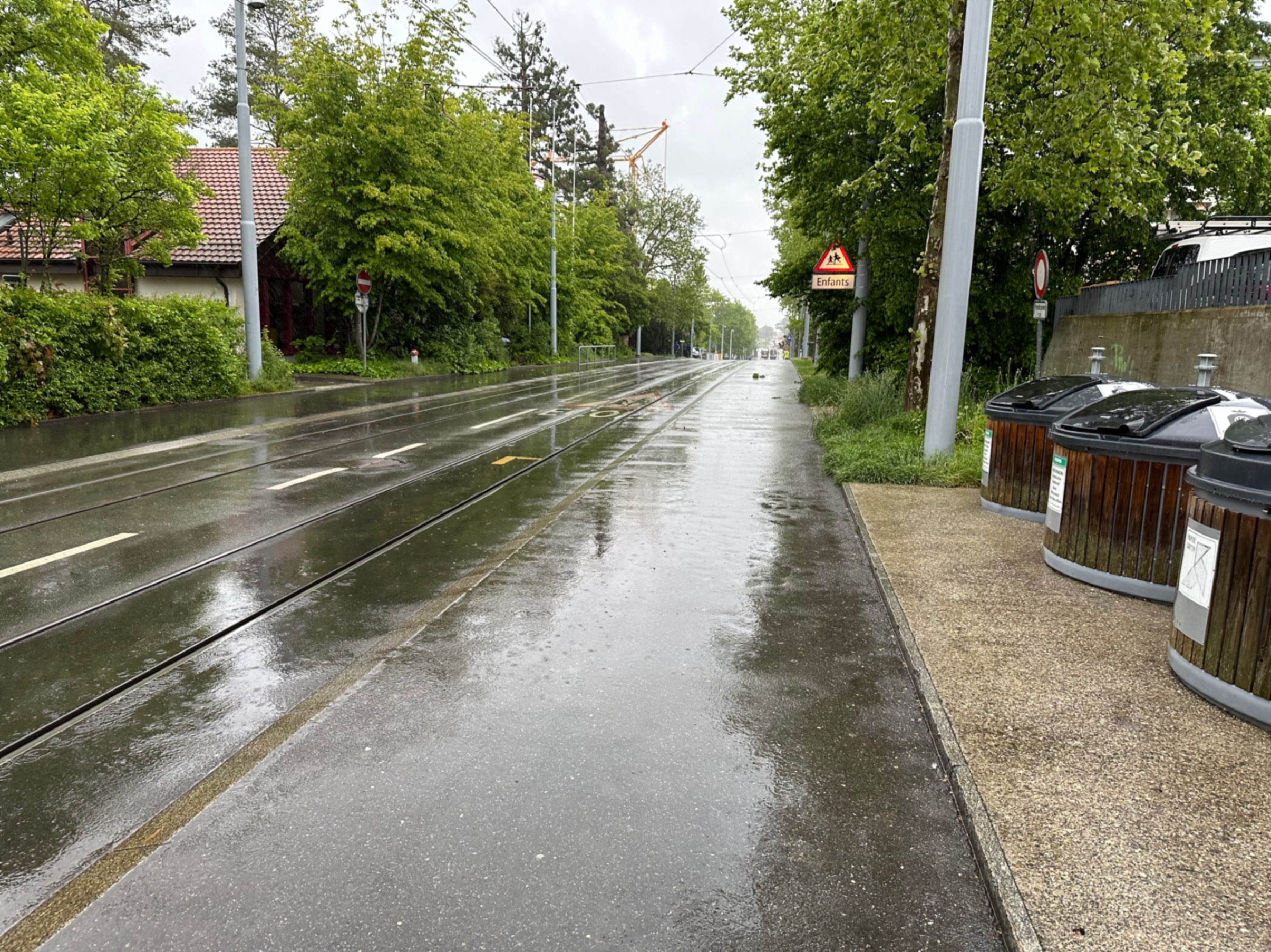 Morning Rain