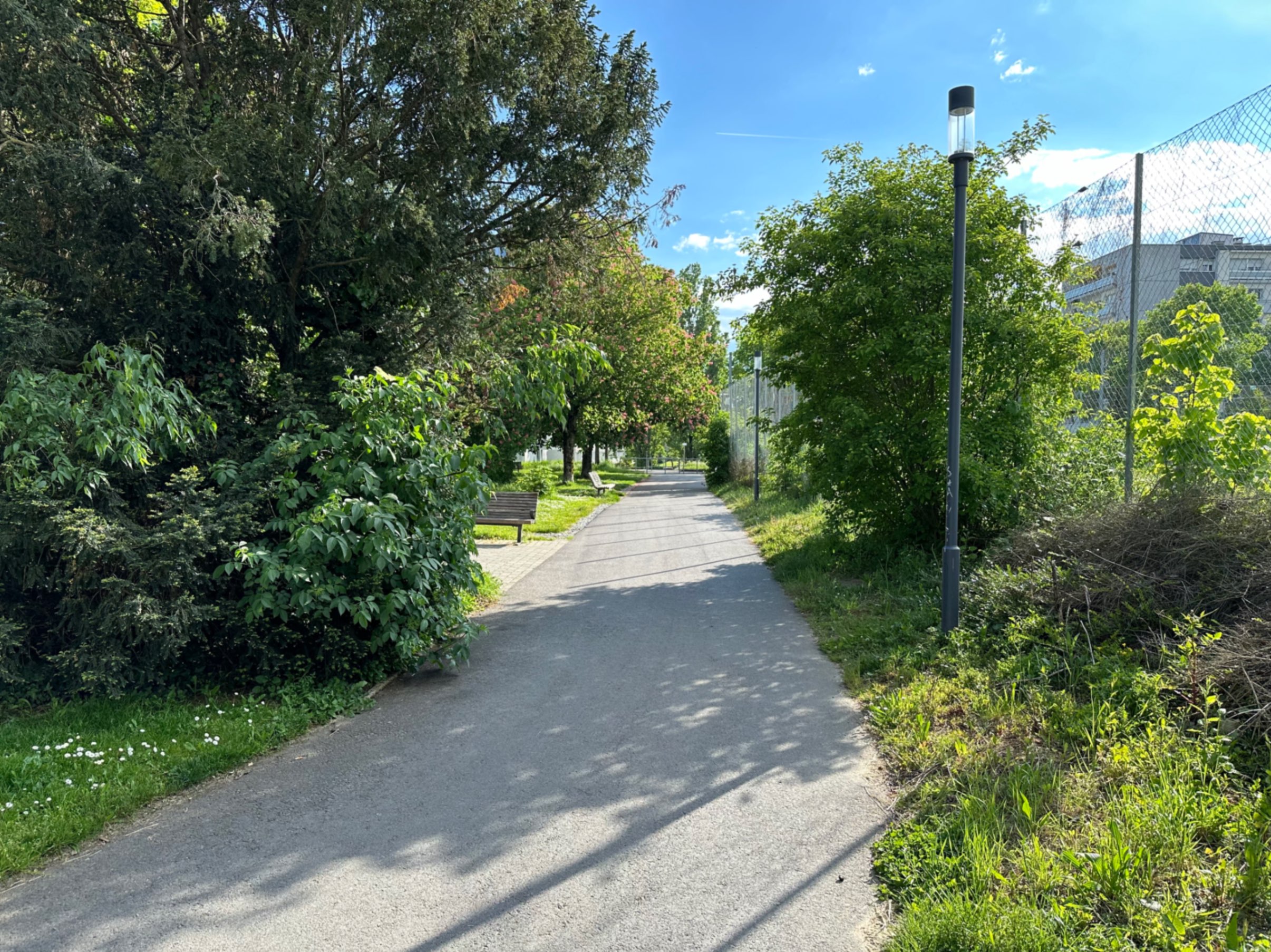 Pedestrian Path
