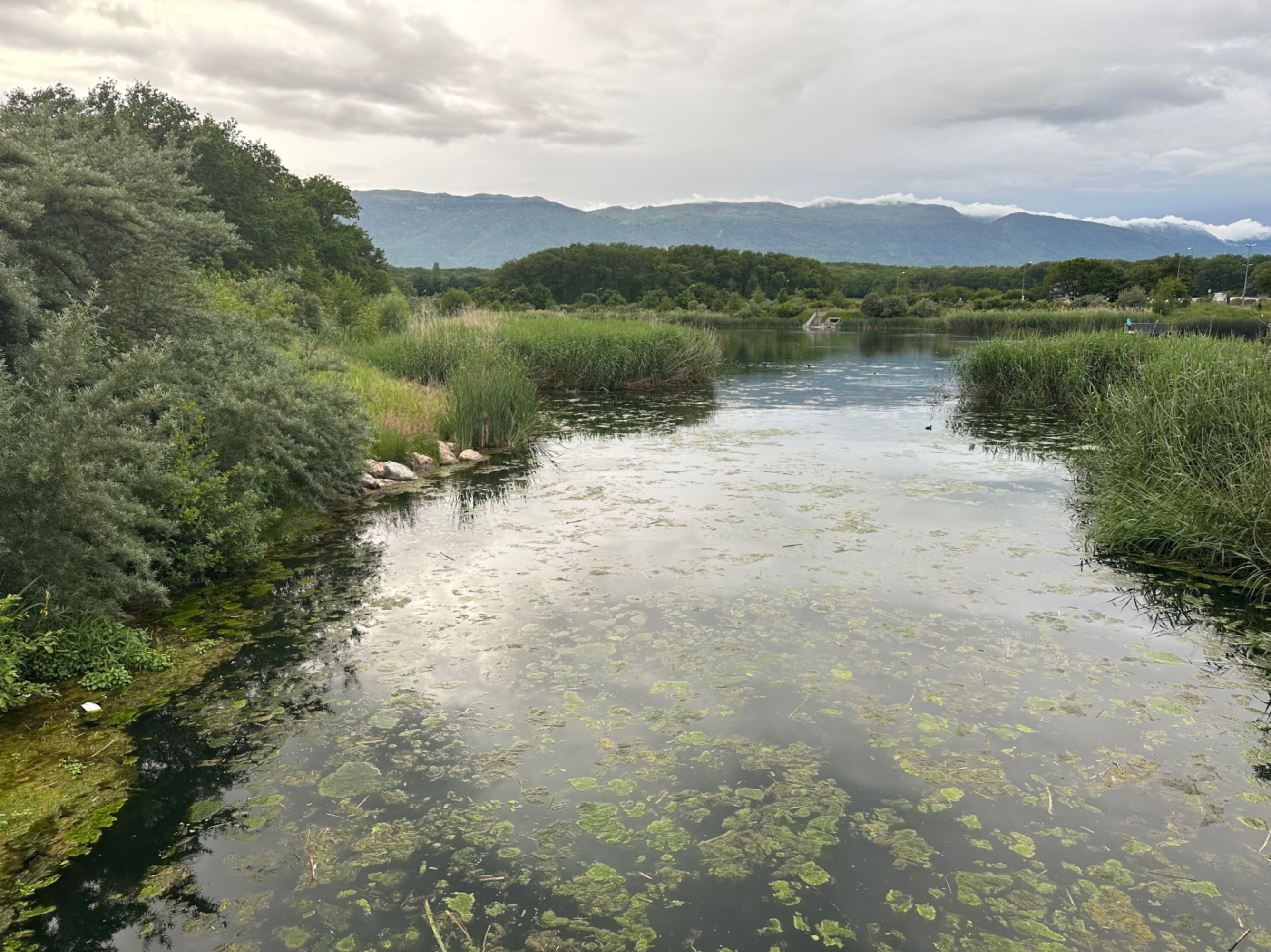Lac des Vernes