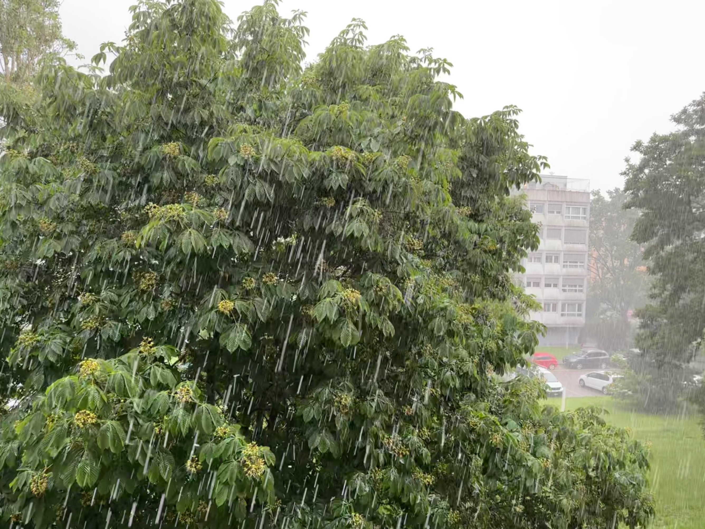 Hailstorm