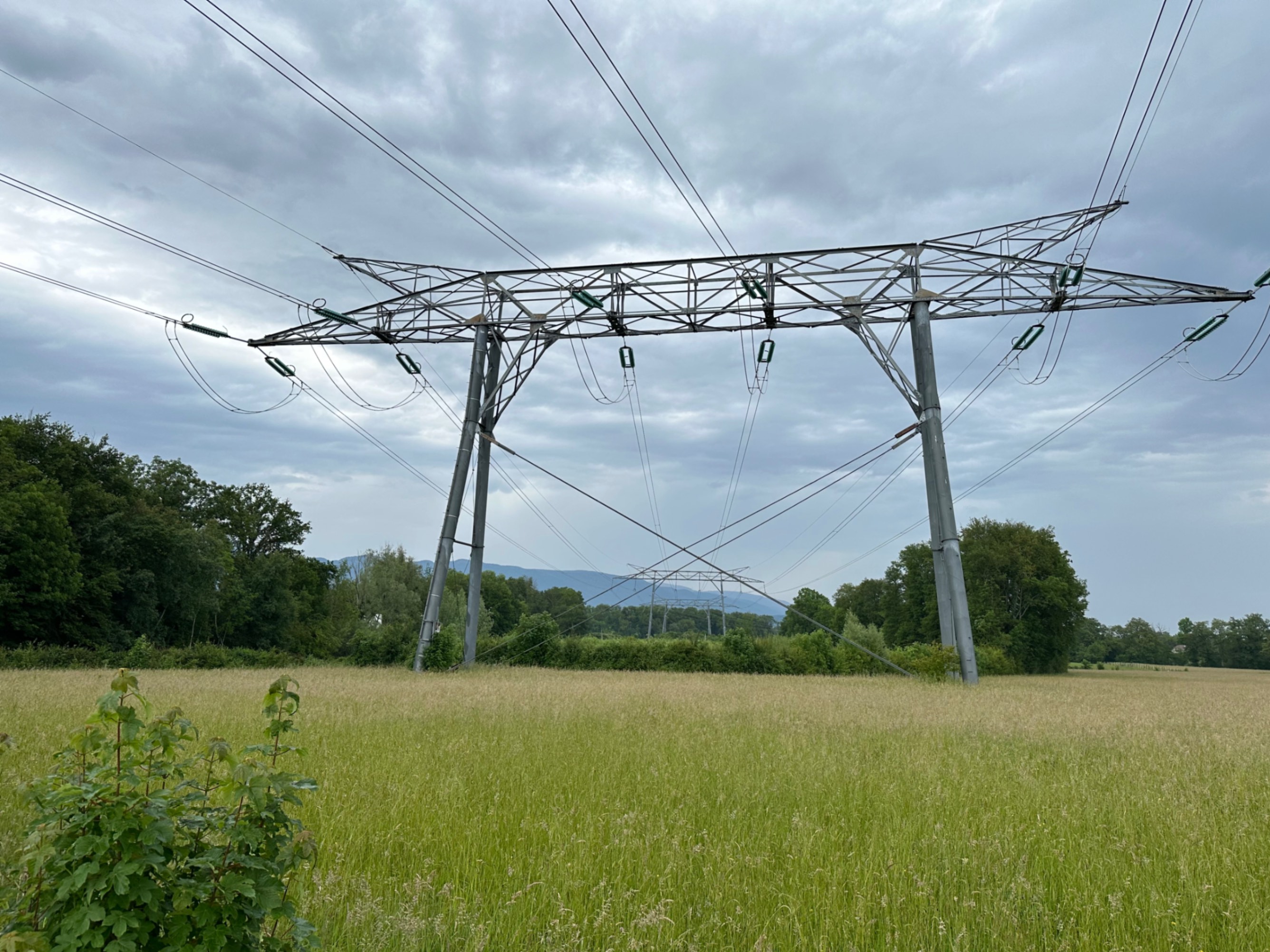 Power Lines