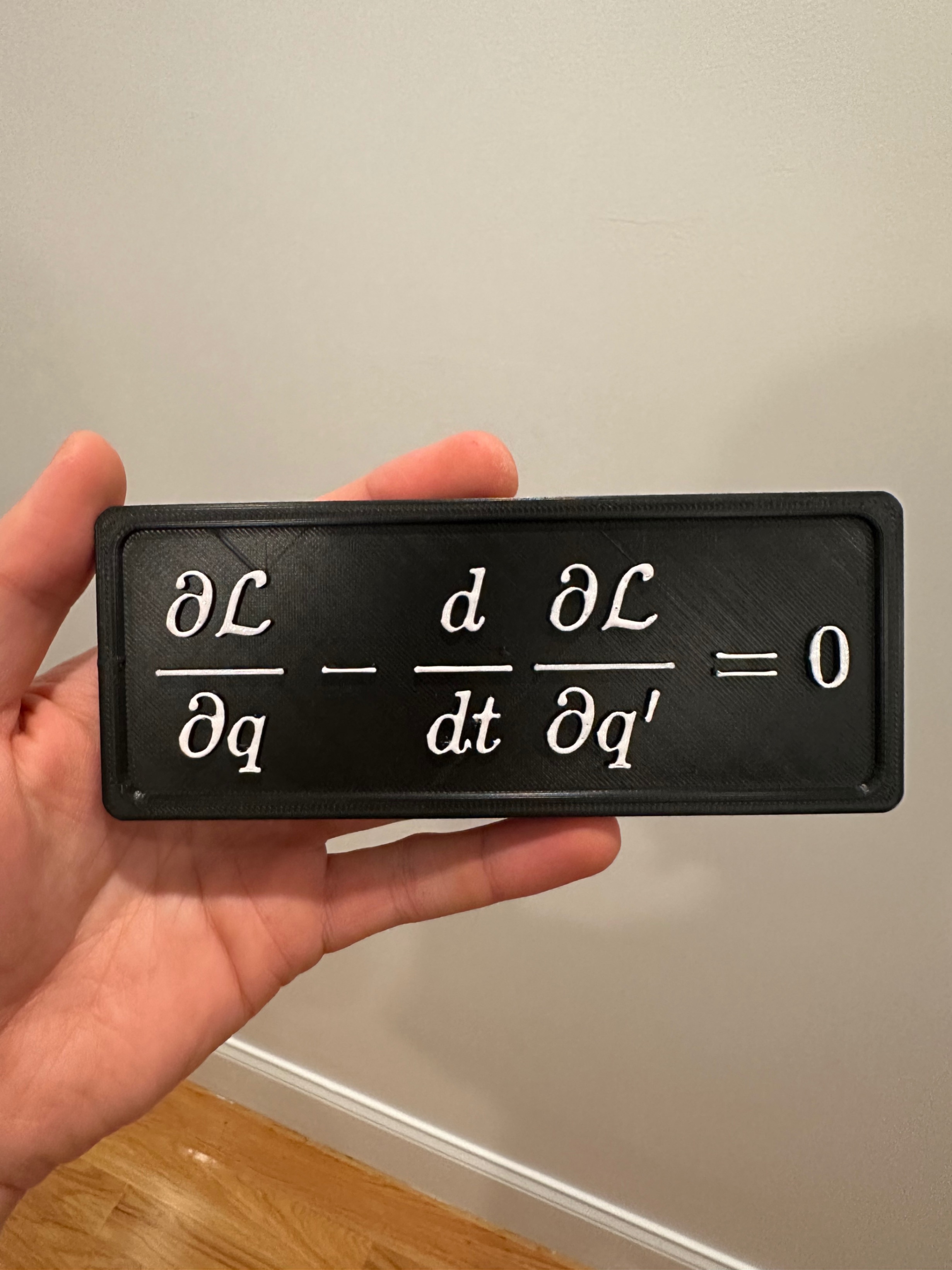 Euler-Lagrange Equation