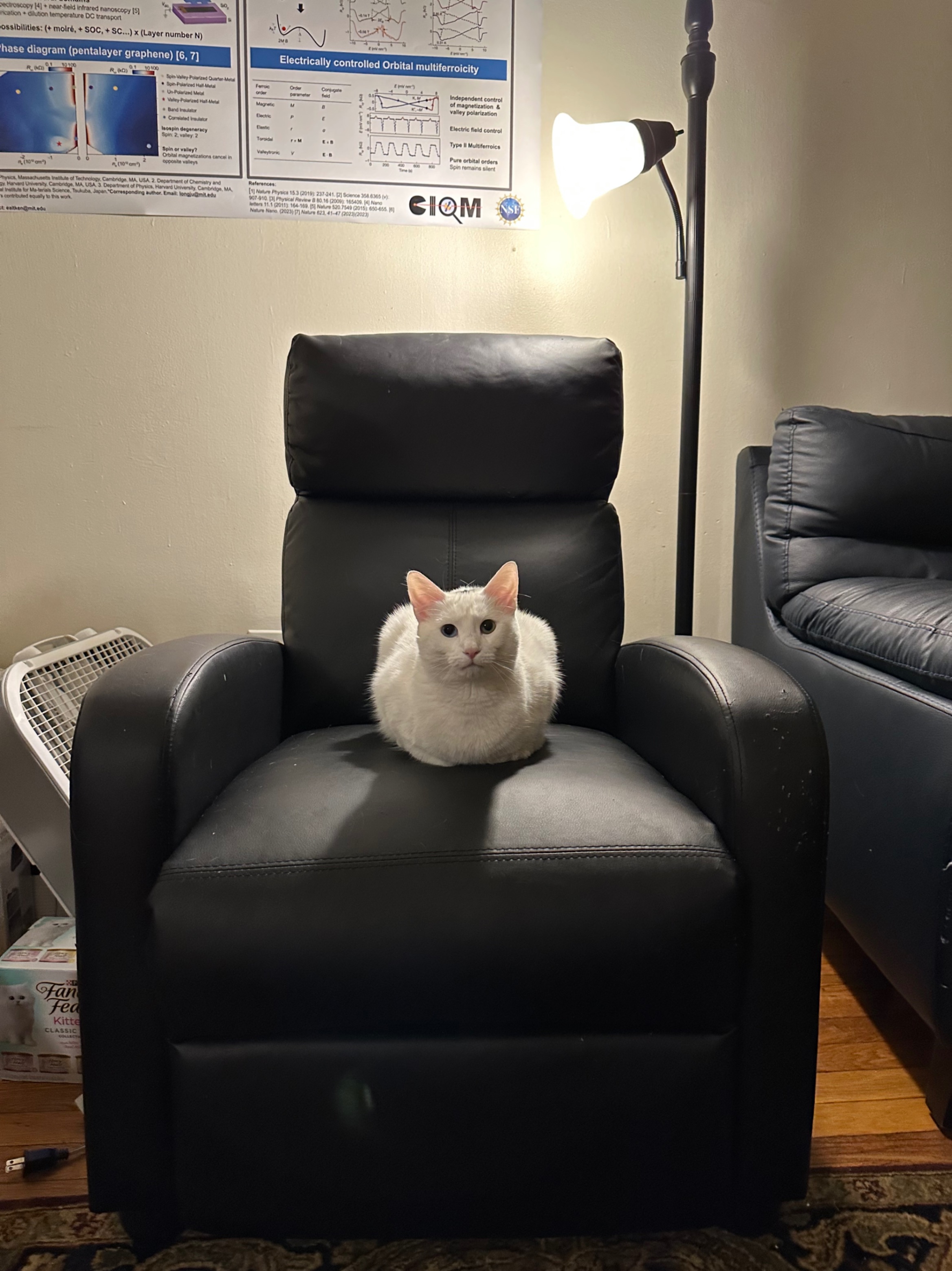 Furby Loaf