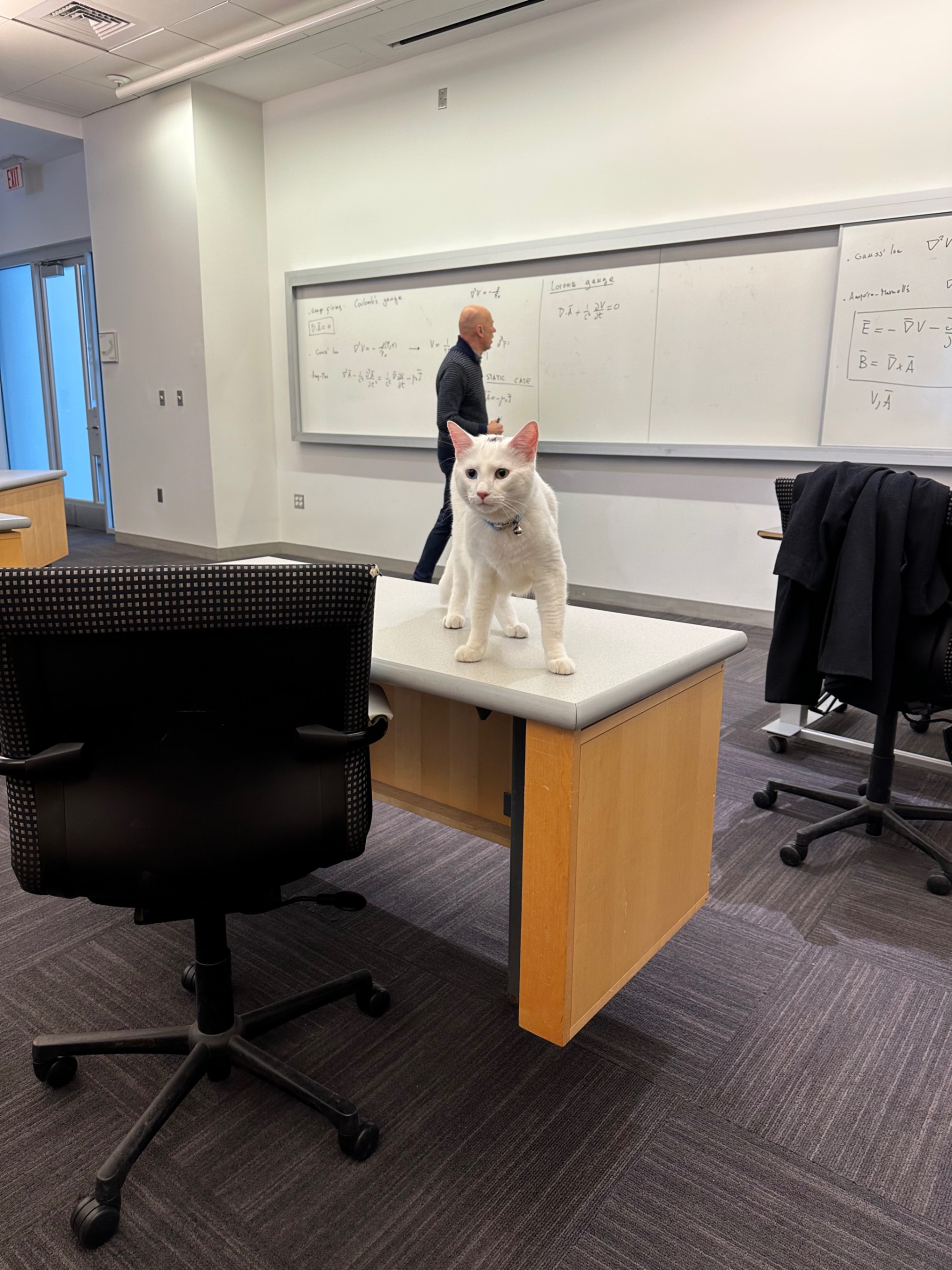 Furby's Day at School