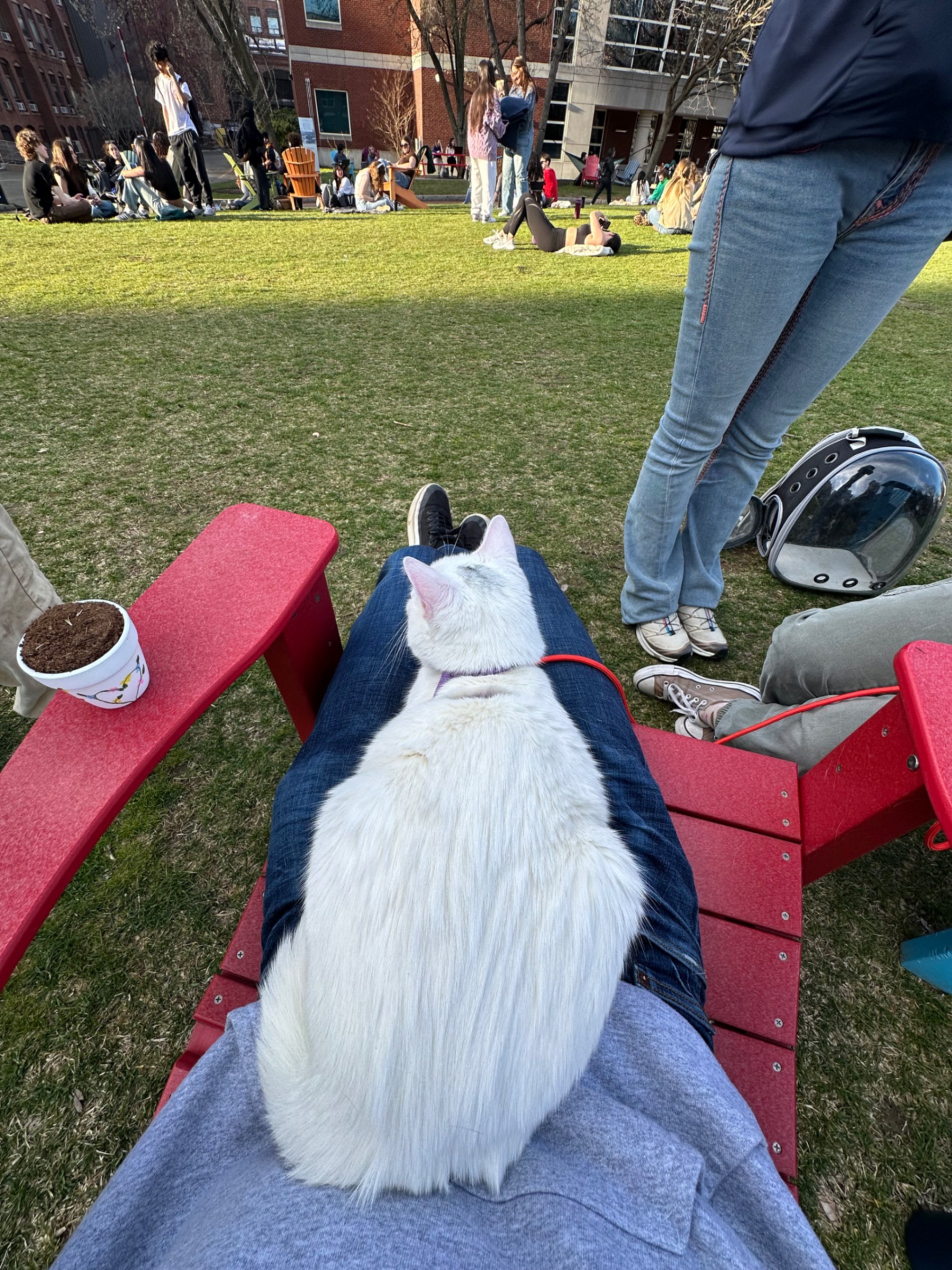 Loafing Outside