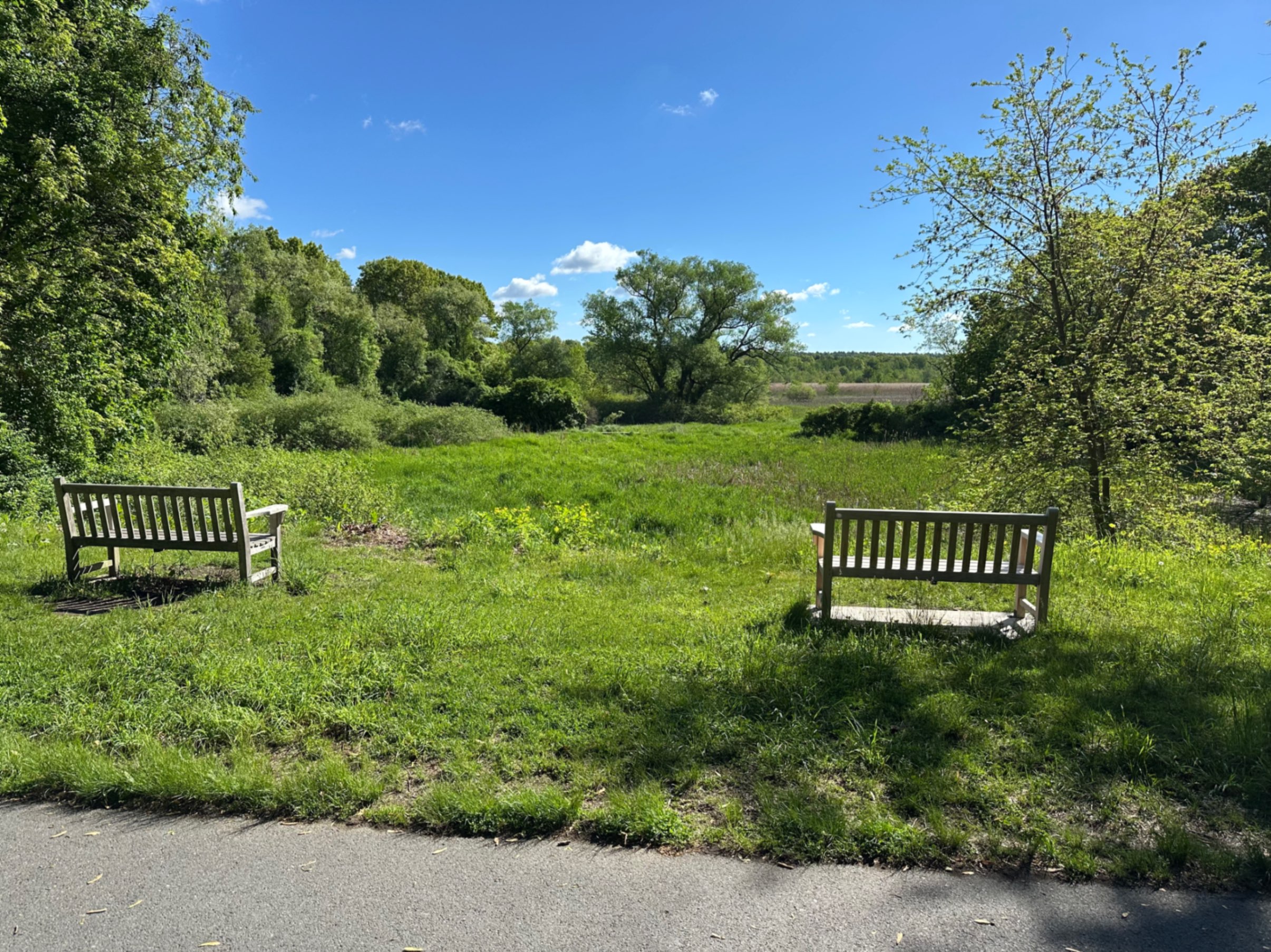 Arlington's Great Meadows