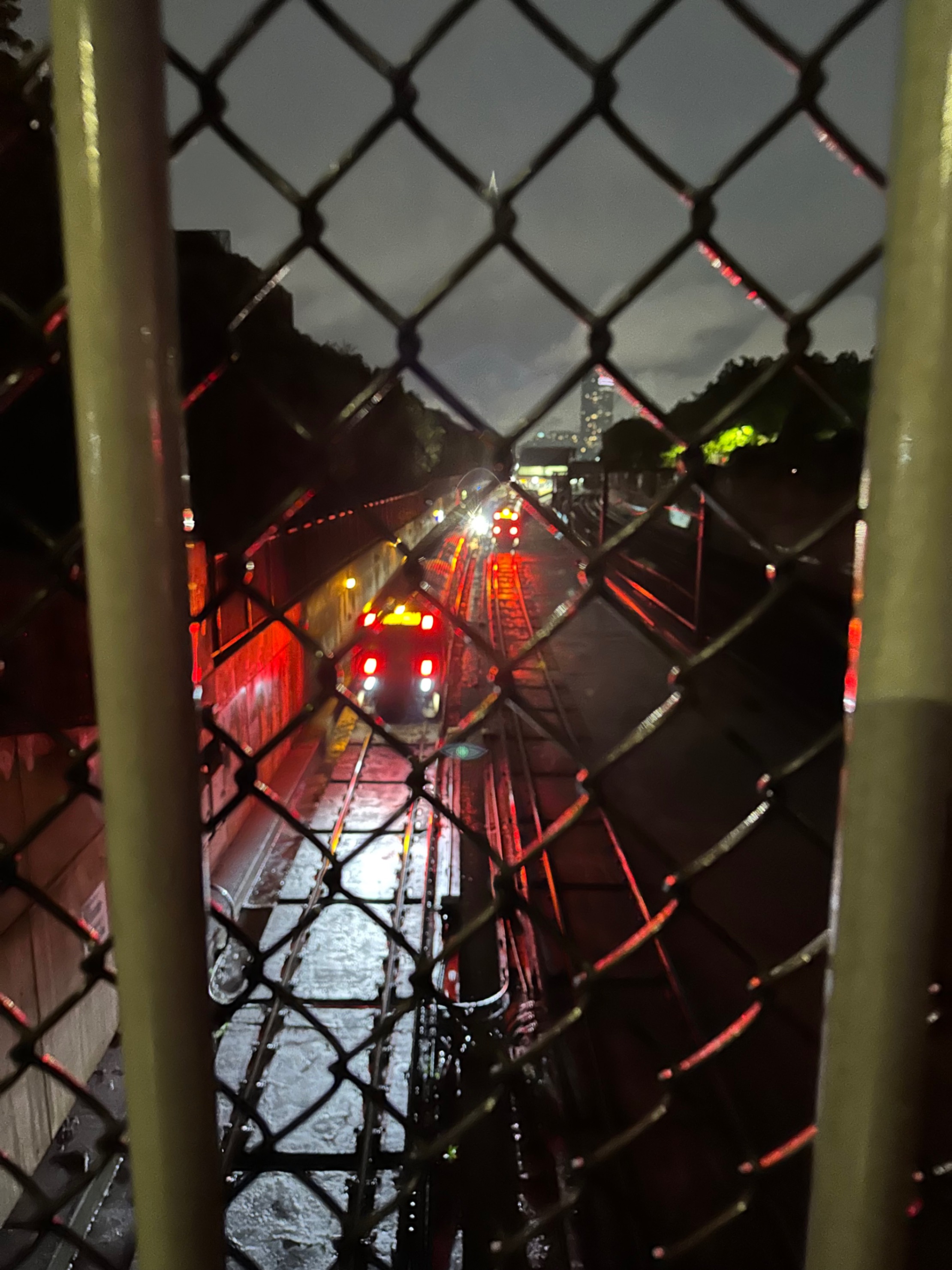Evening Orange Line
