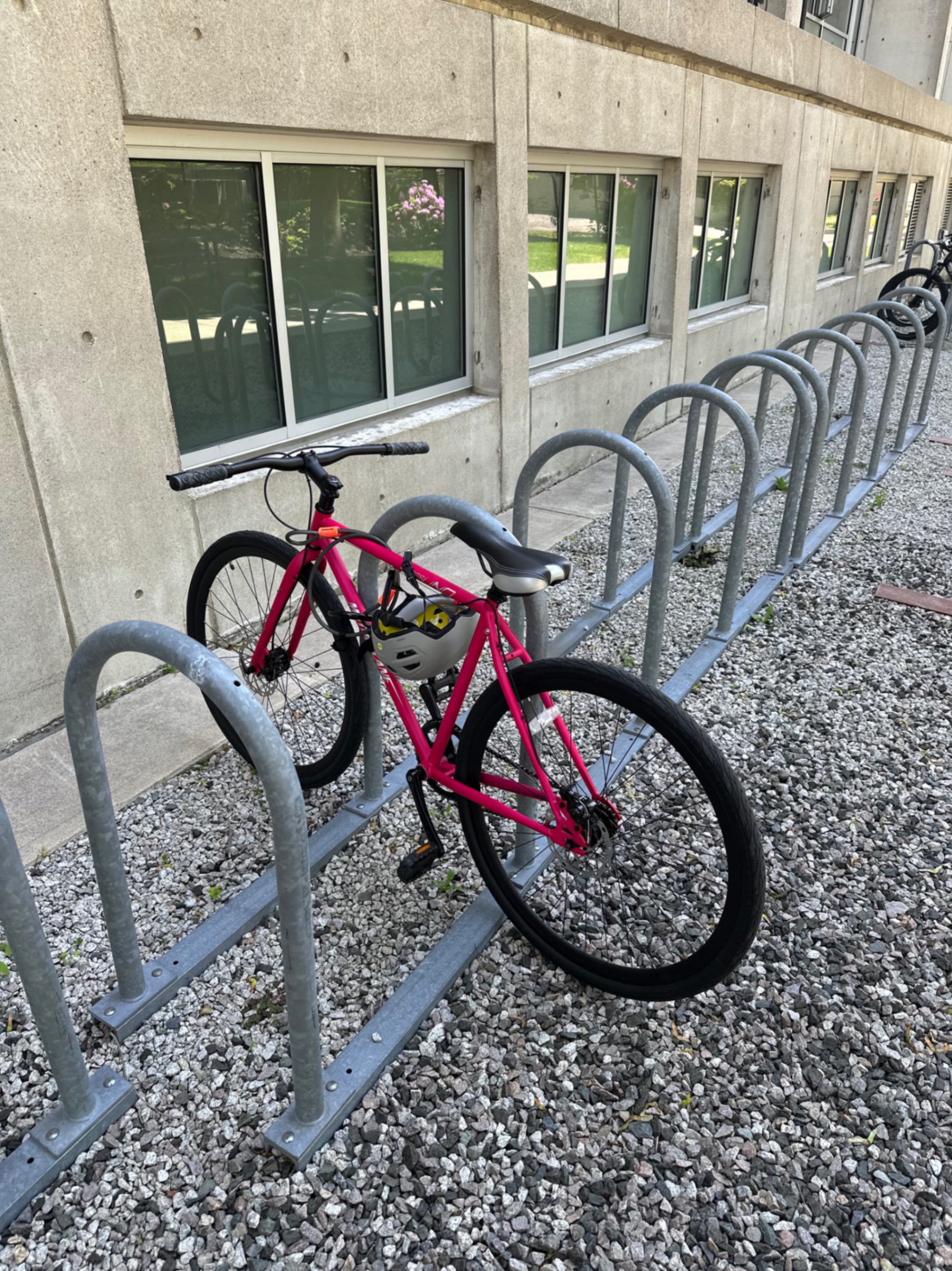 Pink bike