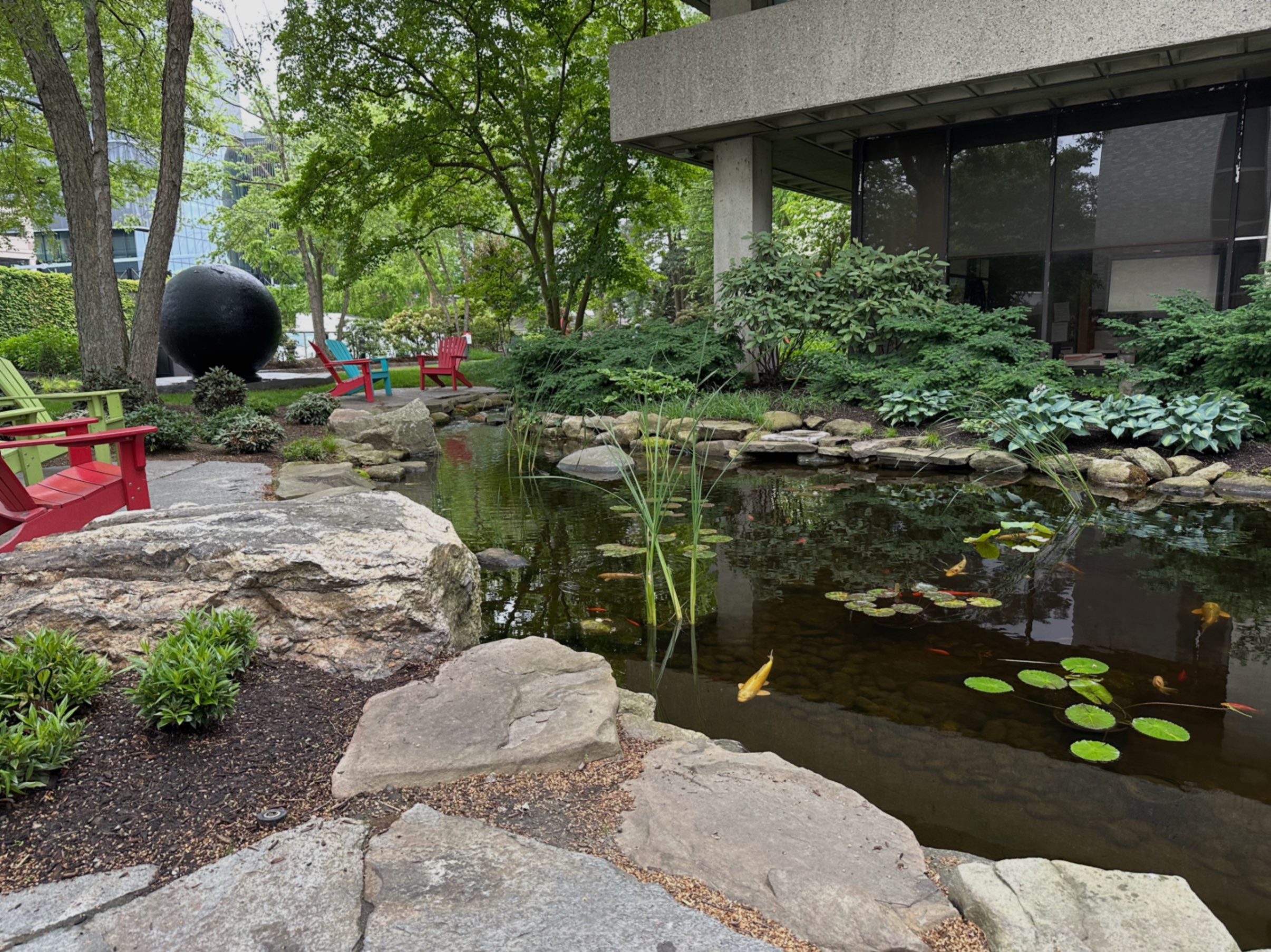 Koi pond