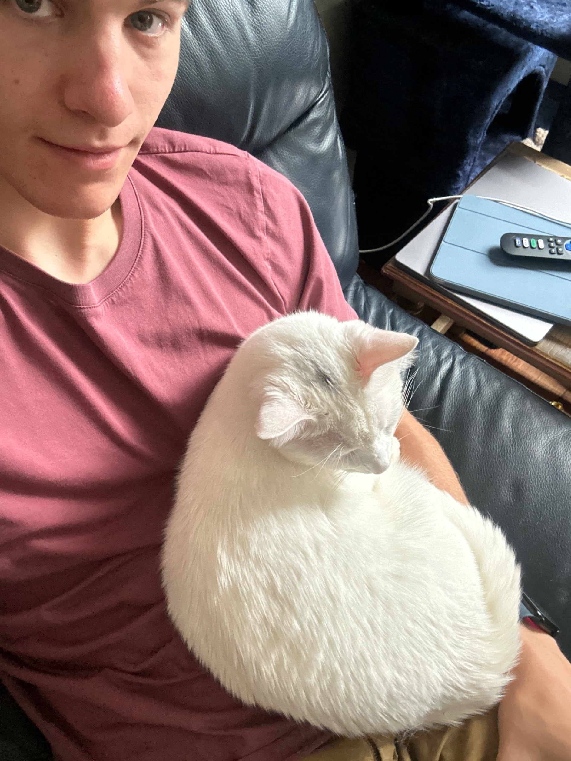 Work buddy