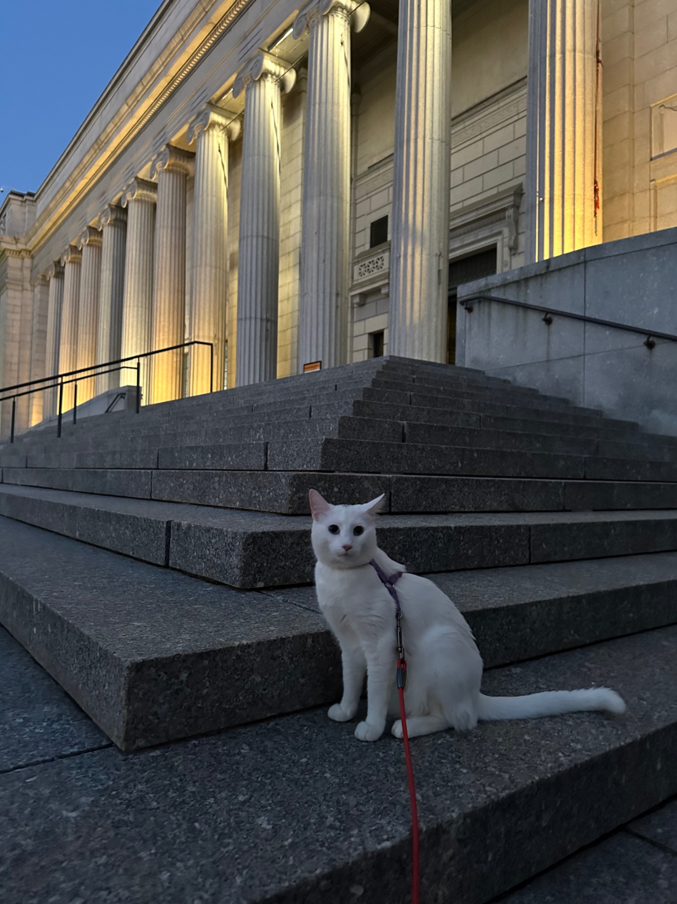 Furby’s trip to the art museum