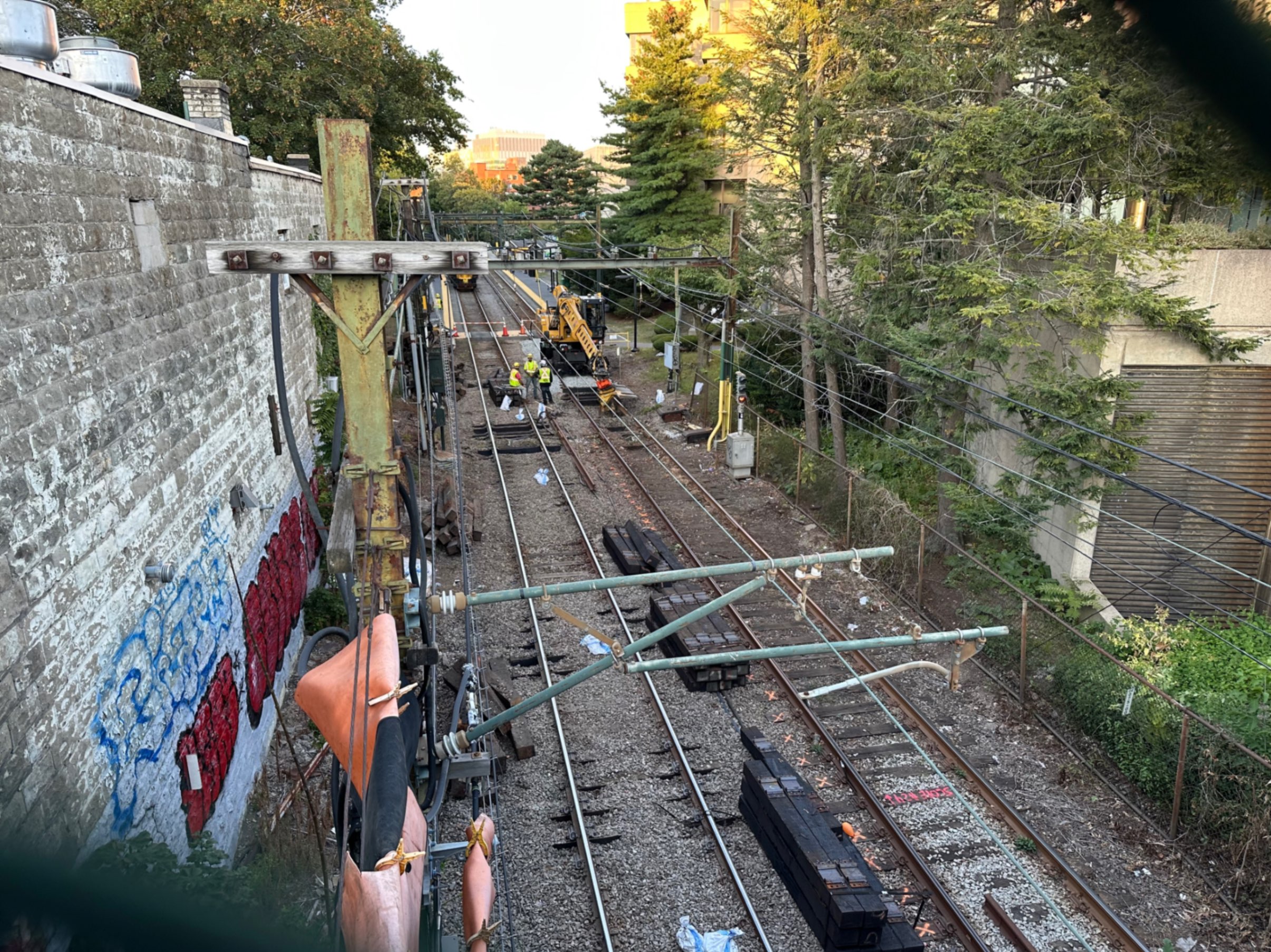 Working on the D branch