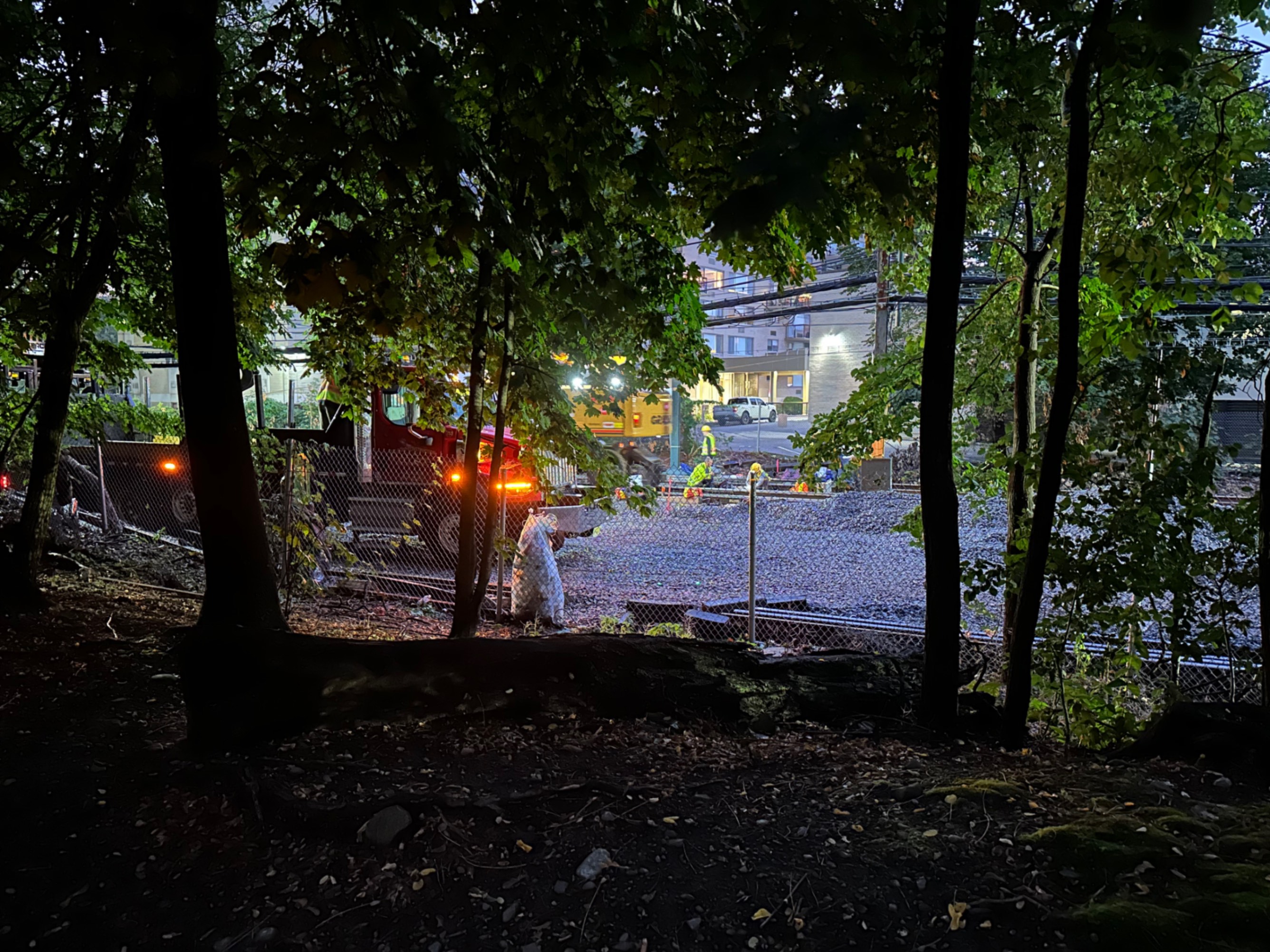 D branch work