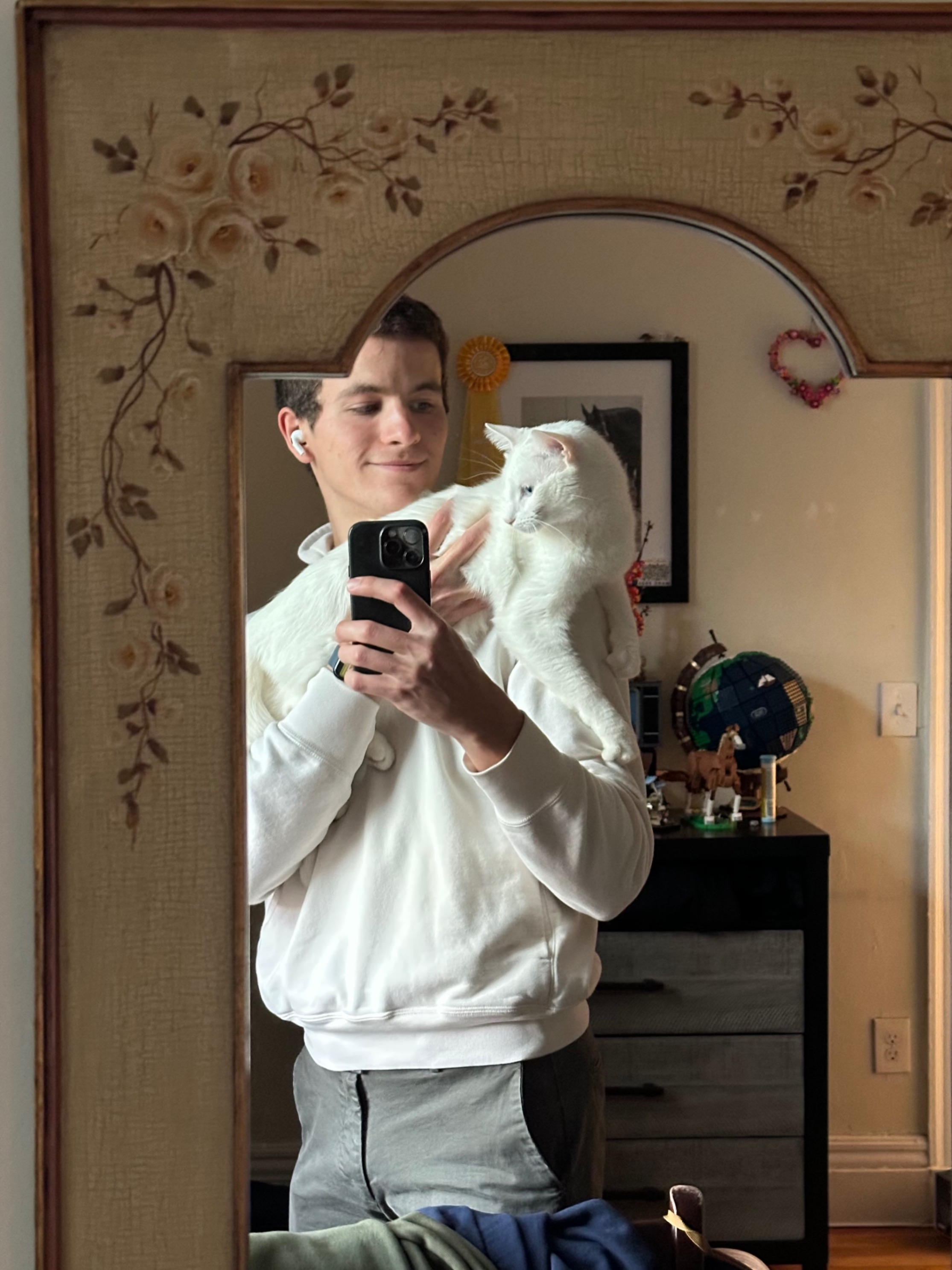Shoulder cat cuddles