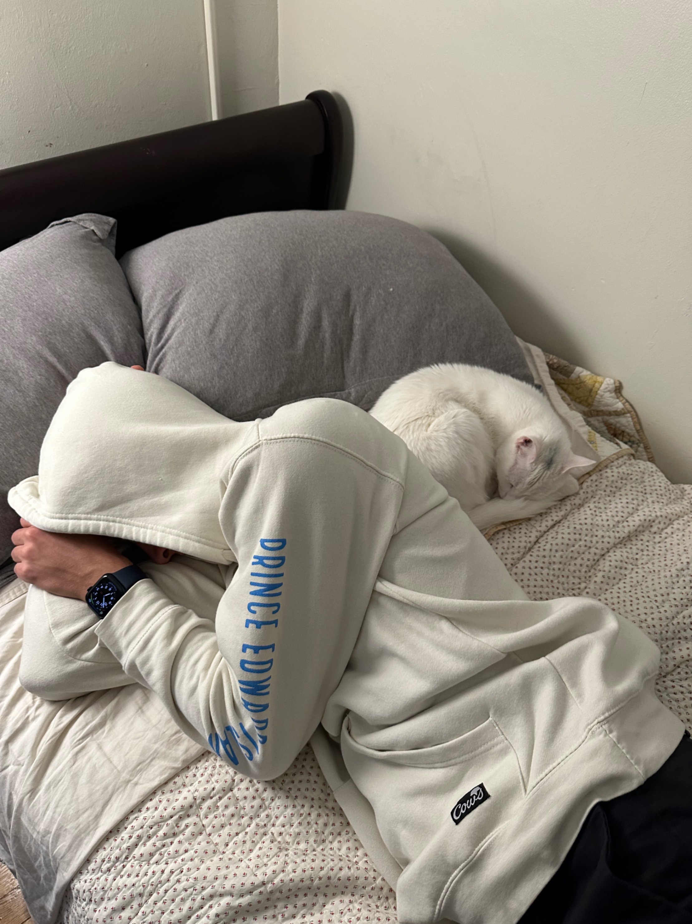 Nap kings