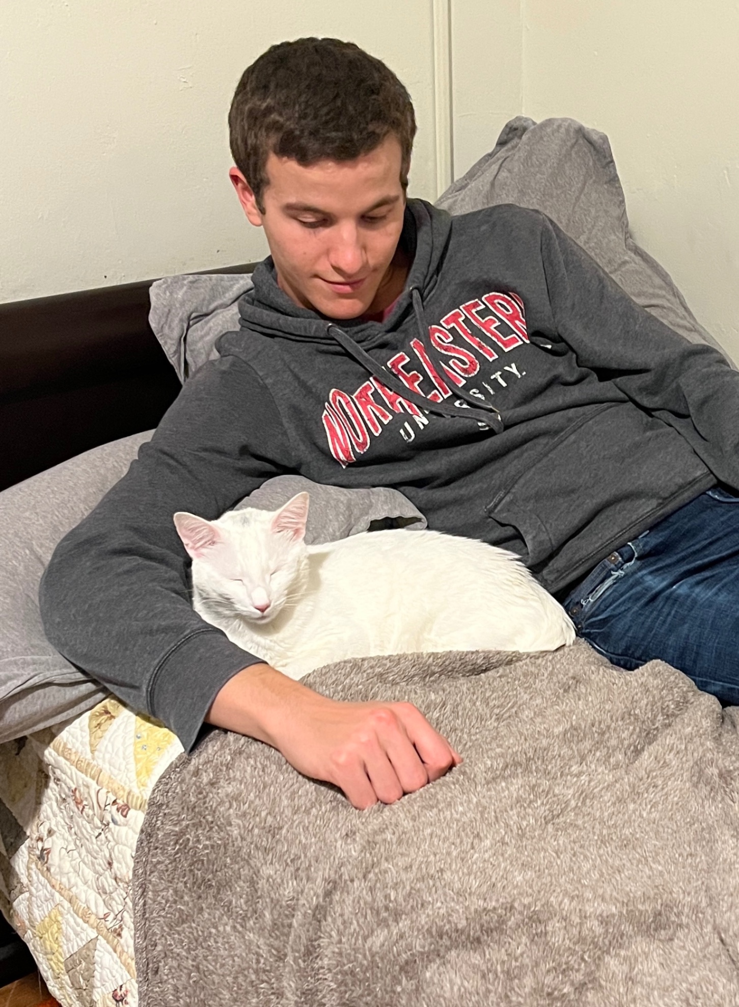 Sleepy kitty