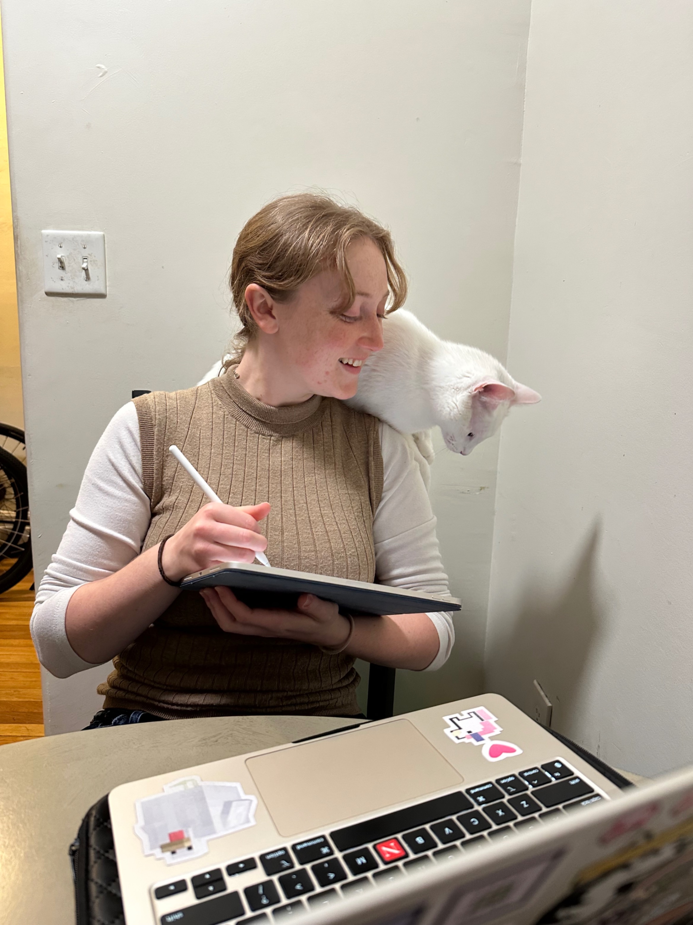 Studious kitty