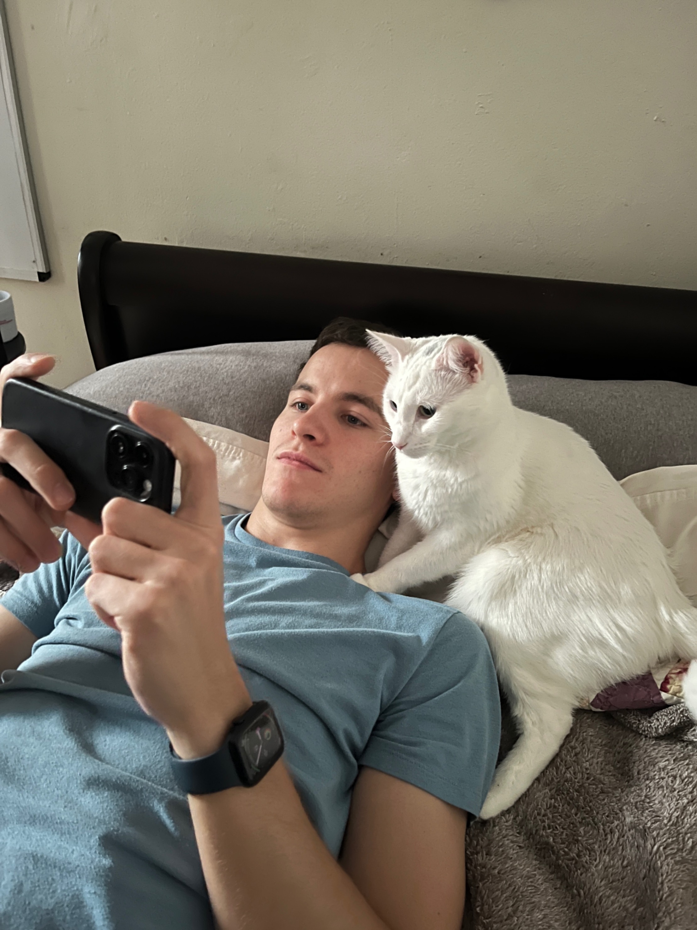 My sidekick