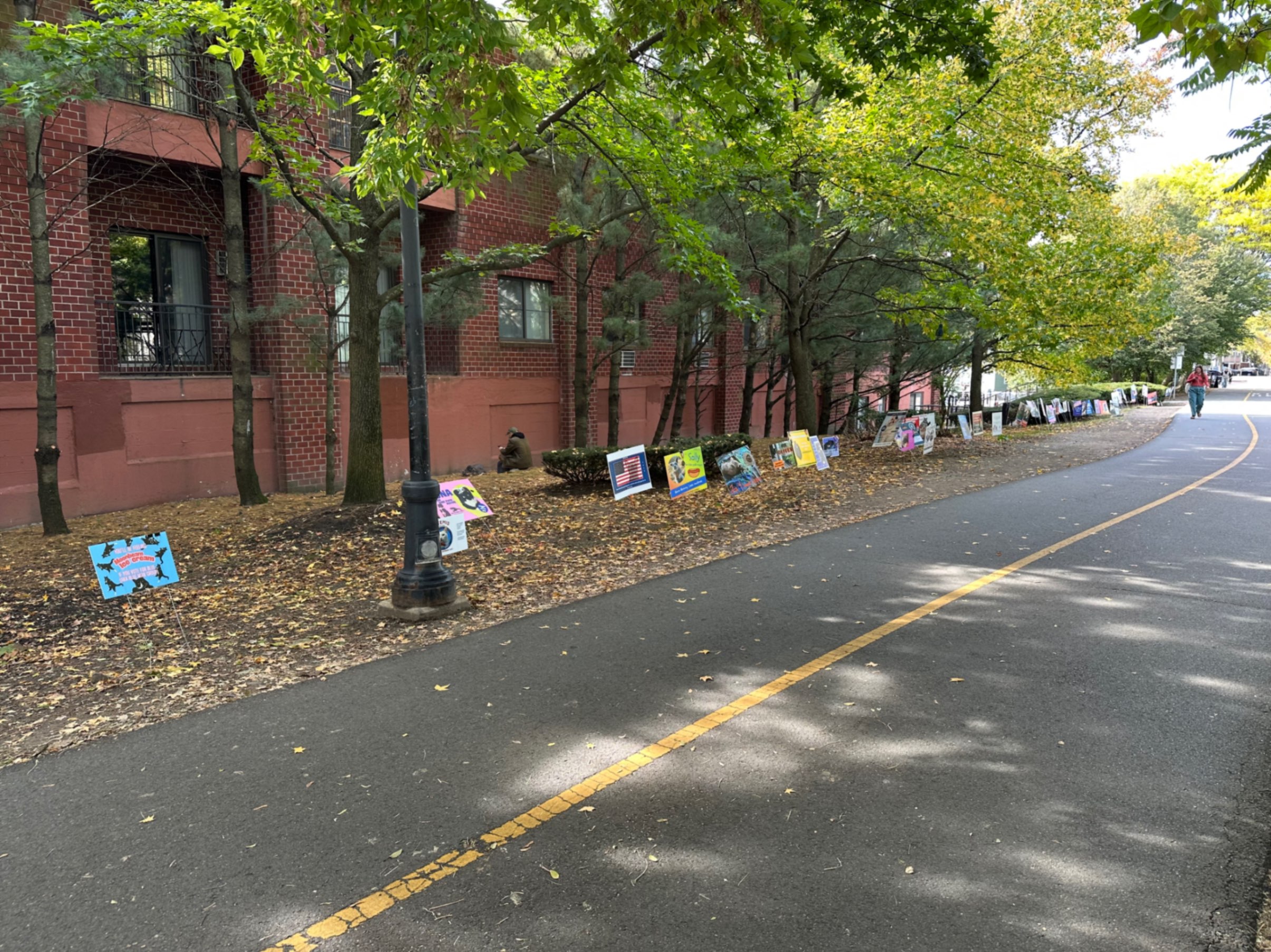 Somerville bike path cat mayoral race