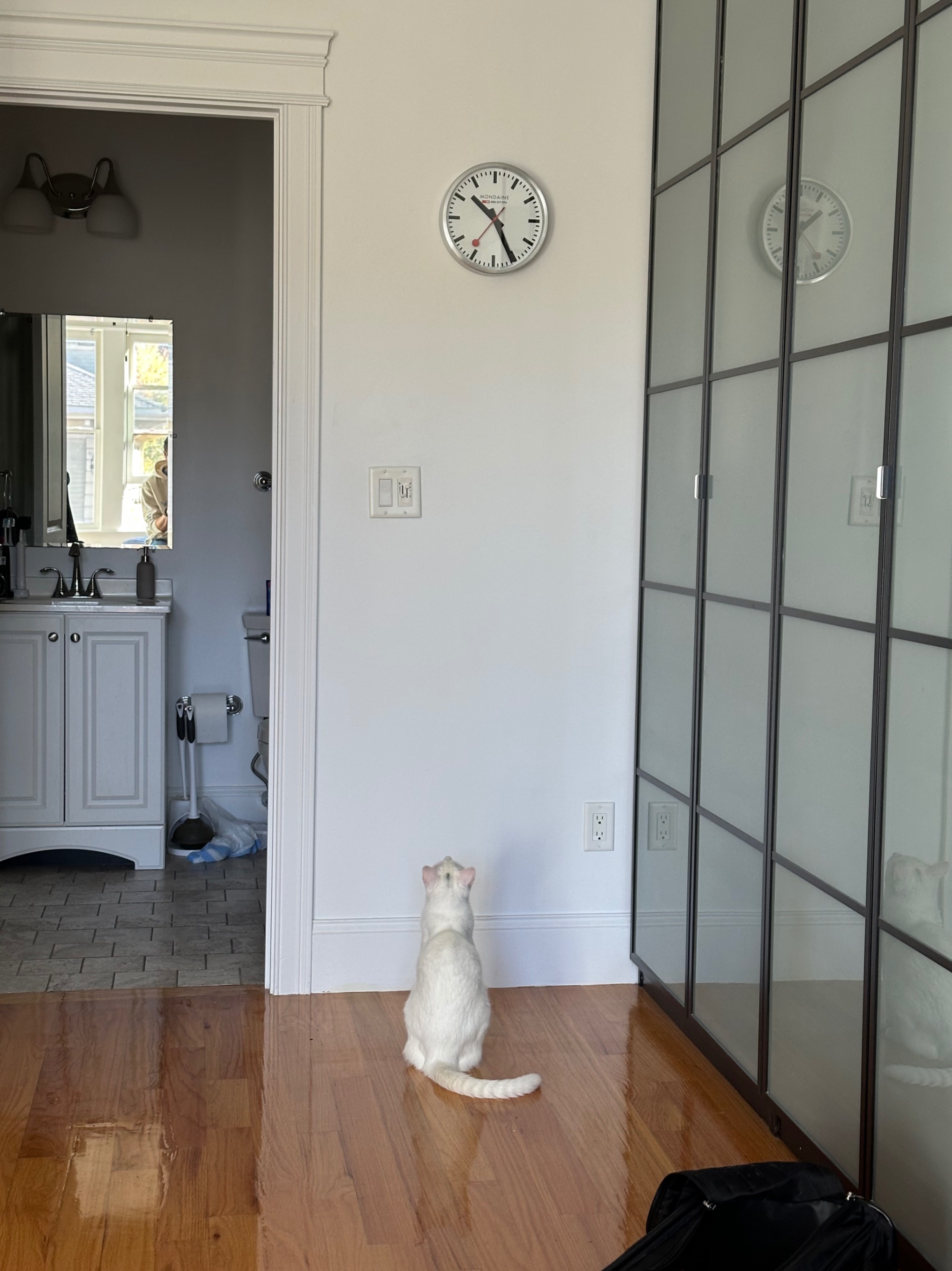 Waiting for his mom to get home