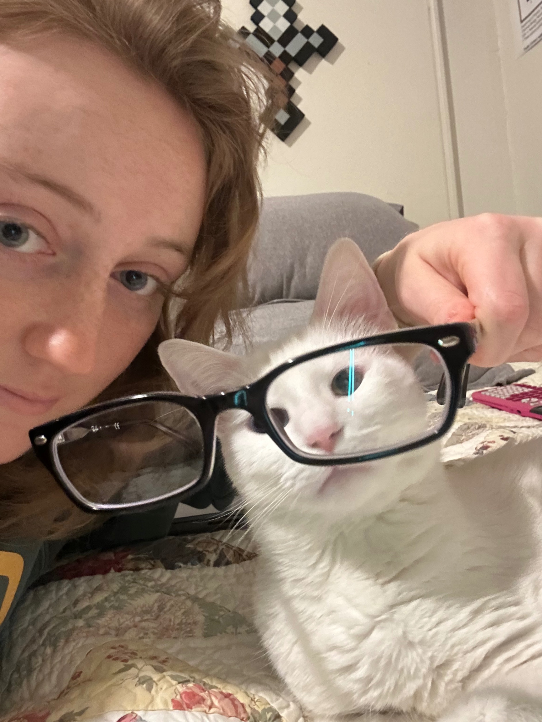 Kitty glasses