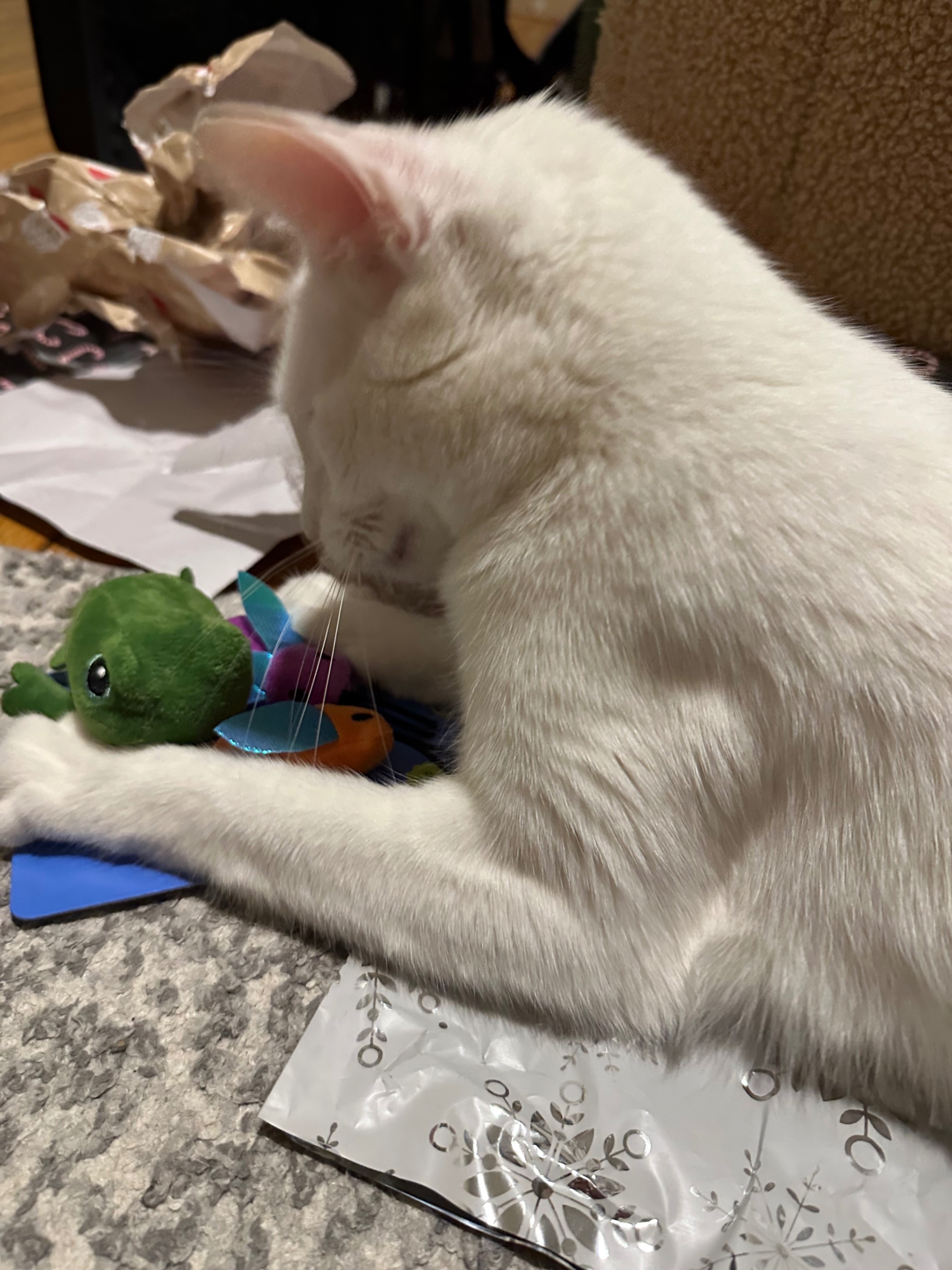 I take it Furby likes his new toys