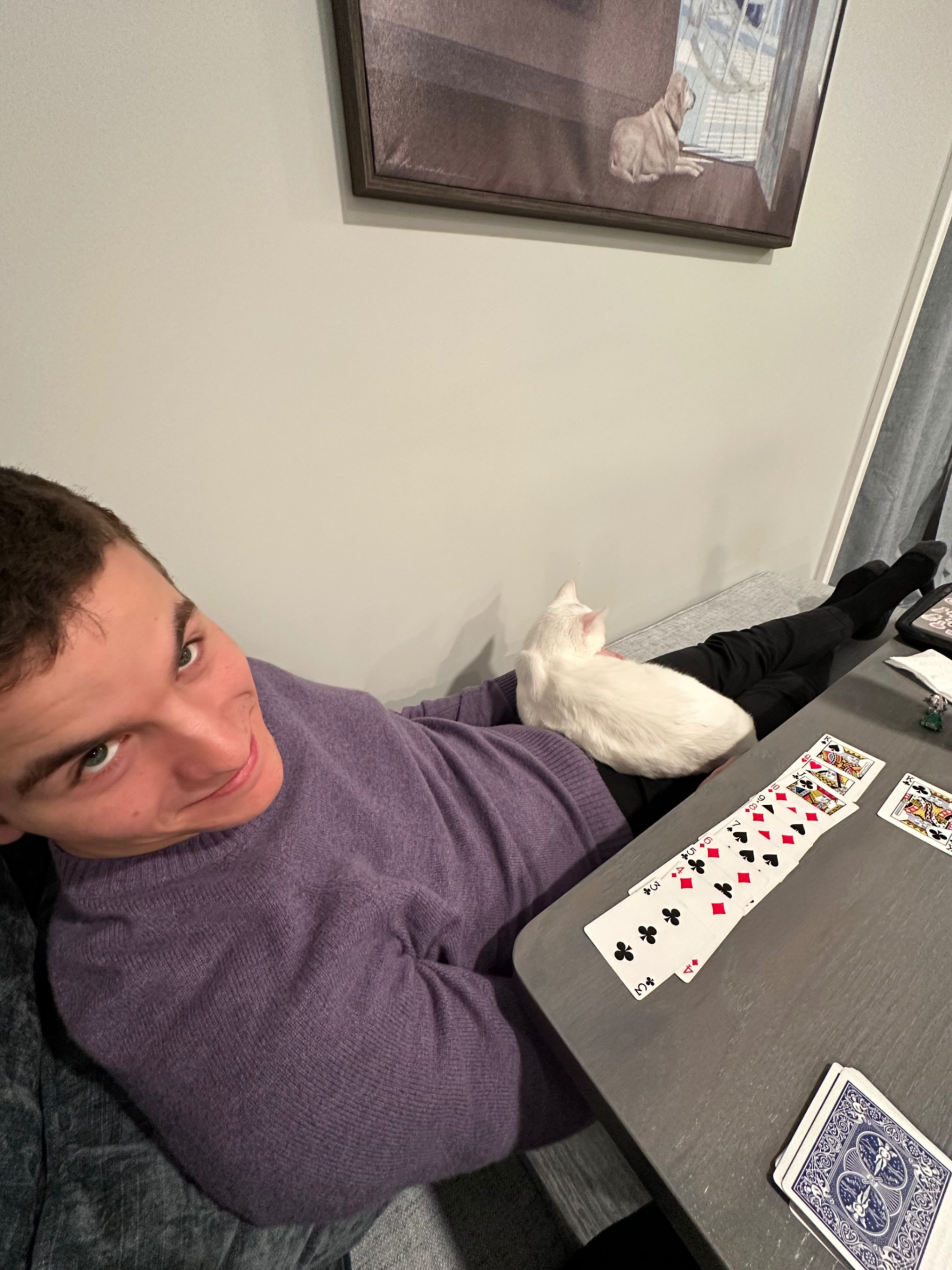 Furby learning solitaire